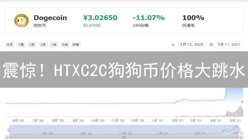 震惊！HTXC2C狗狗币价格大跳水？抄底机会来了！