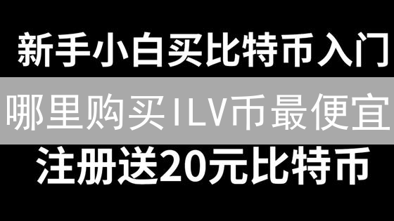 哪里购买ILV币最便宜？平台对比指南