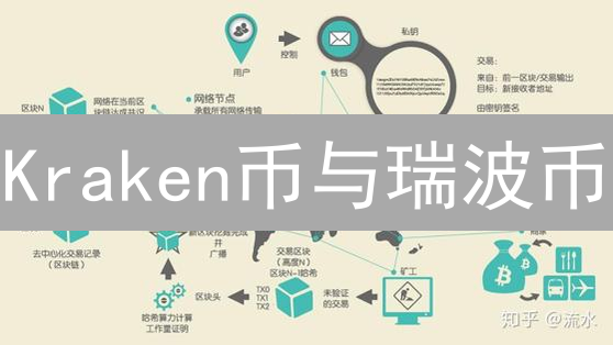 Kraken币与瑞波币：价值、网络与应用的深度较量