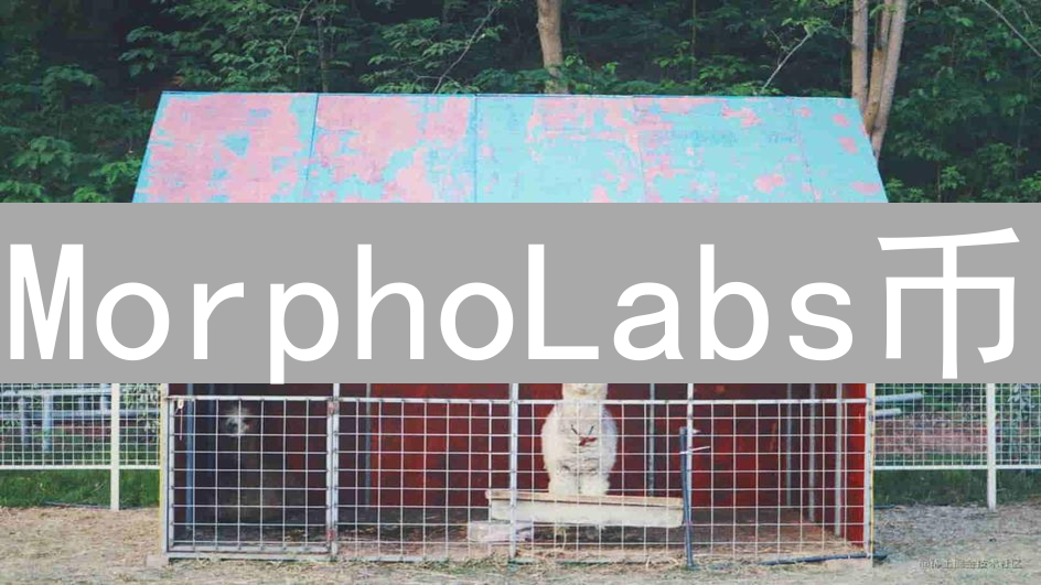 MorphoLabs币：通往高效DeFi借贷的钥匙与协议解析