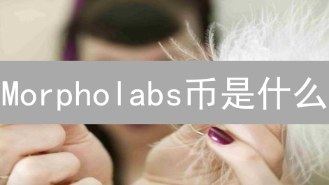 Morpholabs币是什么？投资价值深度分析及风险评估