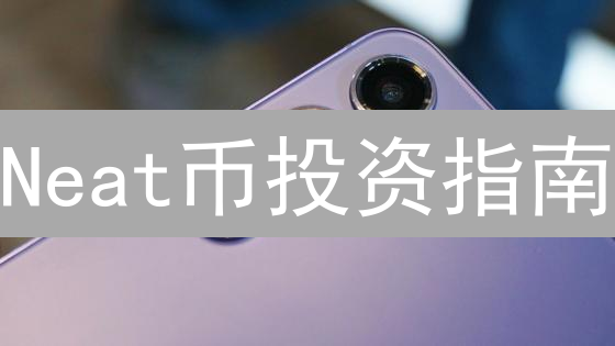 Neat币投资指南：在哪买更安全？新手必看【2024】