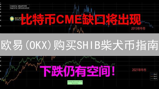 欧易(OKX)购买SHIB柴犬币指南：新手也能轻松上手？