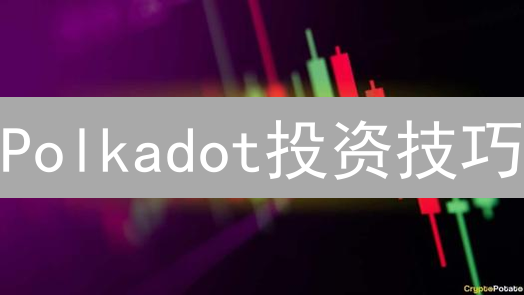 Polkadot投资技巧：技术架构、拍卖与策略分析