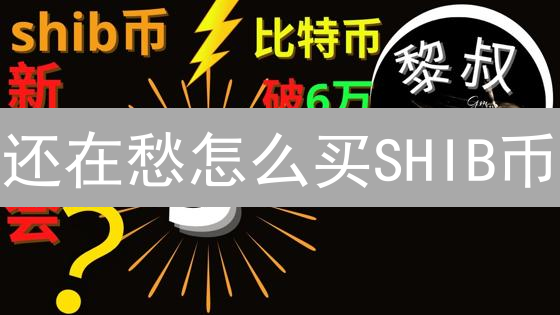还在愁怎么买SHIB币？BitMEX进阶攻略，错过后悔！