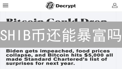SHIB币还能暴富吗？揭秘投资回报与风险！