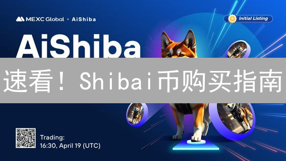 速看！Shibai币购买指南：新手也能轻松上手？