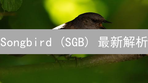 Songbird (SGB) 最新解析：一文读懂金丝雀网络！前景如何？