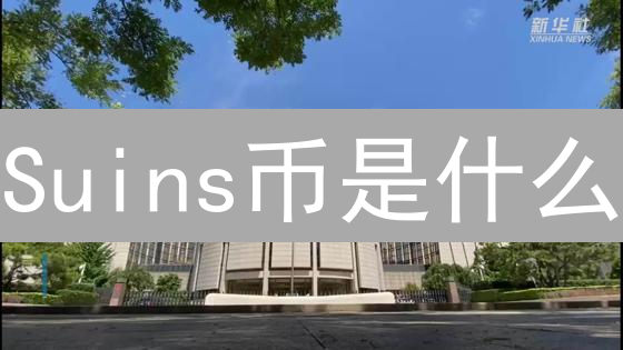 Suins币是什么？2024年了解Sui生态与Move语言，投资价值如何？
