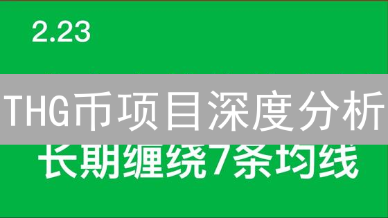THG币项目深度分析：长期投资价值评估与前景展望