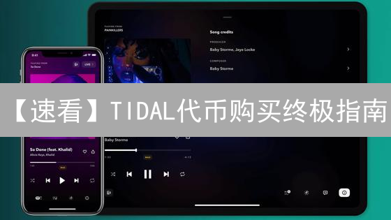 【速看】TIDAL代币购买终极指南：新手也能轻松上手！