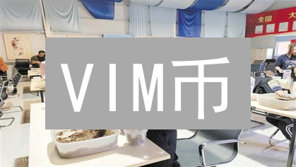 VIM币：加密货币新星？一文看懂它的价值与风险！