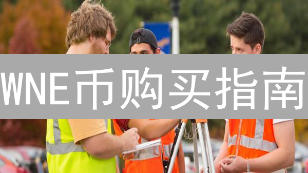 WNE币购买指南：在哪里购买WNE币最安全便捷？全面渠道解析