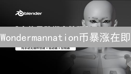 Wondermannation币暴涨在即？新手入场指南，抓住财富机遇！