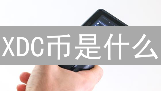 XDC币是什么？一文读懂XinFin混合区块链的价值与风险！